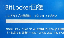 Featured image of post TPMとBitLockerの禁忌を犯す